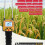 For AR991 Digital Grain Moisture Meter for Wheat, Corn, Rice, and More 4
