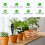 Soil PH Meter Professional Soil Tester  APP Control Data Logger PH Temperature Acidity Analyzer 2