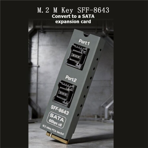 Placa de Expansão para Disco Rígido M.2 (M-Key) para Dual SFF-8643 (8x  6Gbps) para NAS, para Synology e Linux 2