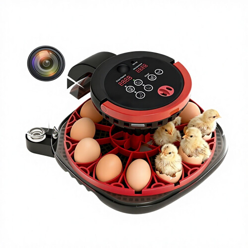 Automatic Egg Incubator - RNCYN - Miniature for Home