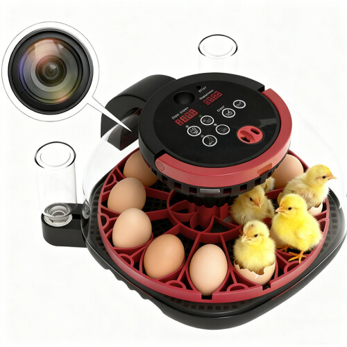 Smart Egg Incubator - RNCYN - 1080P HD Camera - 4-in-1 Smart Modes