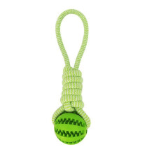 Interaktives Hundespielzeug - Phoesky - Zahnreinigungsball - Baumwollseil - Quietschgeräusch - 7 cm - Grün
