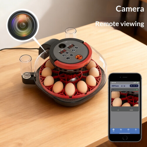 Automatic Egg Incubator - RNCYN - Miniature for Home 1