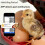 Automatic Egg Incubator - RNCYN - Miniature for Home 3