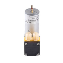 YW05 24V Diaphragm Pump Brushless Motor Driven Pneumatic and Hydraulic Self-Priming Vacuum Pump for Car
