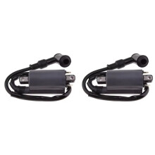 2X Ignition Coil is Suitable for Buyang 260 260cc 300cc D300 G300 Motor
