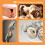 9PCS Pottery Tools Kit, Clay Sculpting Tool Set with Carving, Modeling, Trimming for Ceramic Beginner 7