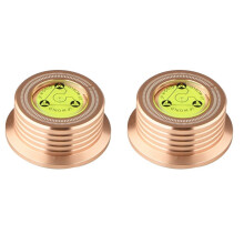 2X Aluminum Vinyl Record Weight HiFi 50HZ LP Disc Stabilizer Turntable Vinyl Aluminum Alloy Weight Clamp Rose-Gold