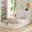 HOMAIRE Single Upholstered Bed with Storage Beige 4