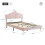 HOMAIRE Pink Velvet Double Bed with Adjustable 2