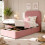 HOMAIRE Pink Velvet Single Bed with Storage 3