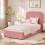 HOMAIRE Pink Velvet Single Bed with Storage 4