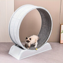 Roulette d'exercice pour chat, tapis amovible, bois ultra-silencieux avec mécanisme de verrouillage, 76 cm