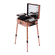 Mallette de maquillage à roulettes, 3 étages, avec 8 lumières LED 5W, hauteur réglable, Rose