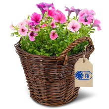 Creative Home Pflanzkasten Weidenblumentopf dunkel mit Folie | Blumenkasten
