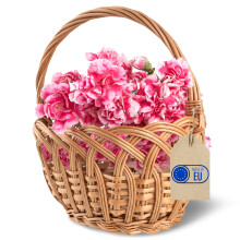 Creative Home Osterkorb Kinder Ovaler Weidenkorb mit Henkel 19 x 14 x 21cm