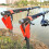 Automatic Spring Fishing Rod Holder with Adjust Sensitivity Stainless Steel Base for Effortless Hookset , Ground Support 3