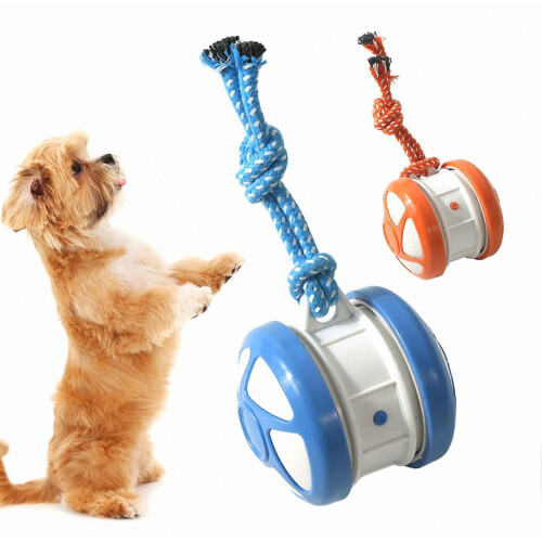 Smart Motion-Activated Rolling Ball Toy for Dogs with Self Play Design 1