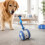 Smart Motion-Activated Rolling Ball Toy for Dogs with Self Play Design 3