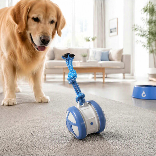 Smart Motion-Activated Rolling Ball Toy for Dogs with Self Play Design 2