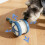 Smart Motion-Activated Rolling Ball Toy for Dogs with Self Play Design 4