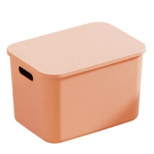 Storage Box with Lid Handle Hole Large Capacity Stackable Dustproof Makeup Toys Sundry Storage Baske