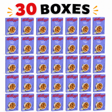 (Fruit n Fibre 45g, 30) Kellogg’s Breakfast Cereal Mini Portions
