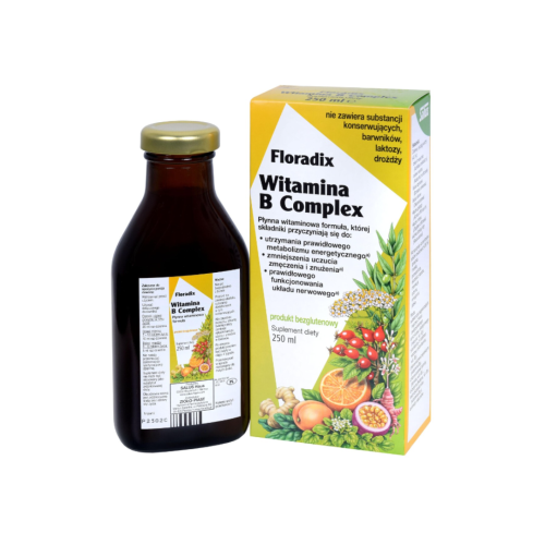 Floradix Vitamin B Complex - Liquid Vitamin Formula, 250 Ml