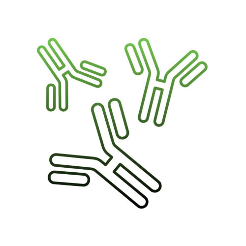 Nature Science PROBIOTIC PROTEIN COCKTAIL PROTEINBIOTIC PROTEIN PROBIOTIC 2