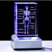 3D Crystal Human Skeleton Anatomy Model Medical Decor Gifts for Doctor, Laser Etched Science Biology Figurine Paperweight Psychology Graduation Gifts