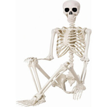 5.4 ft Halloween Skeleton - 165cm Life Size Human Skeleton with Full Body Posable Joints - Spooky Scary Plastic Skeleton for Outdoor Halloween Decora