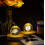 2 Pcs LED Base Wood Light Display Stand with 6-LED,Round_Special Gift 5