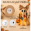 Lighted Halloween Ghost Decor, Patchwork Resin Pumpkin Lamp with Floral Bow_Special Gift 4