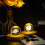 8 Pcs Wooden LED Display Base, Round and Square Surface Style_Special Gift 7