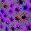 36 Pack Halloween Bats Wall Decor Halloween Decorations Indoor_Special Gift 10