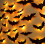 36 Pack Halloween Bats Wall Decor Halloween Decorations Indoor_Special Gift 9