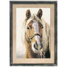 Kit de point de croix - ALISA - Adel - 20x29 cm - Toile AĂŻda 14ct ivoire - 21 couleurs