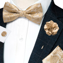 Lot de 5 accessoires pour homme, nœud papillon pré-noué, broche, pochette, boutons de manchette et mouchoir, soie Jacquard Champagne