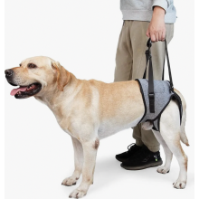 Hondenlifttuig, hondensteuntuig voor de achterpoten, zachte steunlus voor gewonde, gehandicapte kleine, middelgrote en grote honden.