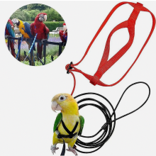 Tuigje voor huisdierenvogels, verstelbaar tuigje voor papegaaien, riem, anti-bijt trainingstouw voor huisdieren, vliegtuigje voor buiten – XL