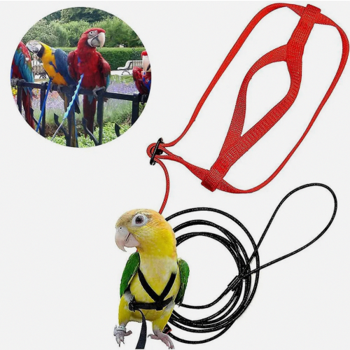 Ζώνη για πουλιά κατοικίδιων, ρυθμιζόμενη ζώνη για παπαγάλους
