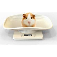 Digitale huisdierenweegschaal met lcd-display, 4 weegstanden (oz, ml, lb, g) voor huisdieren en in de keuken, geschikt voor het wegen van kleine katte