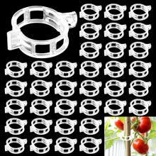 Lot de 200 clips pour plantes réutilisables, blancs, pour plantes grimpantes, support pour tomates, concombres, fleurs, pois, poivrons et autres pla