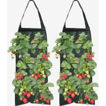 2er-Pack Pflanzsäcke für Erdbeeren mit 8 Löchern, atmungsaktive, strapazierfähige Hängebeutel mit Griffen für Pflanzen, Kräuter und Blumen