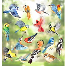 17 pezzi di adesivi per finestre, uccelli primaverili, adesivi colorati per finestre, colibrì, decalcomanie estive per finestre, protezione dagli ucc