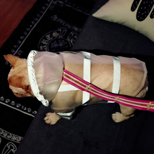 Poncho impermeable con capucha para perros pequeños a extragrandes y cachorros, transparente, ligero e impermeable. 2