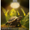 Λάμπα θέρμανσης ερπετών για terrariums, E27, 50W, λάμπα UVA/UVB, με δυνατότ 4