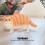 Kuschelnde Katze Figur Orange 6