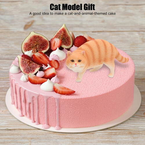 Süßes Katzenmodell als Geburtstagsgeschenk 2