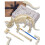 Fossil Dig Kit - Triceratops 1